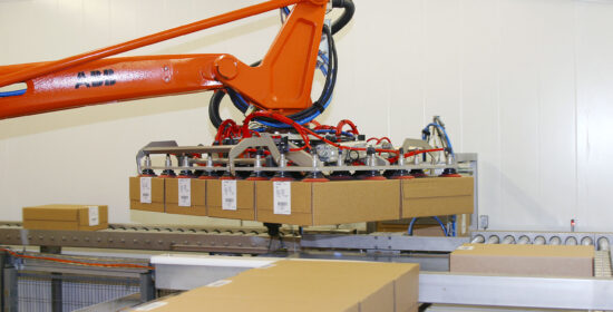 Automatic packaging of meat with dry ice